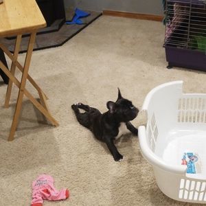 Meet your Posher, Theresa